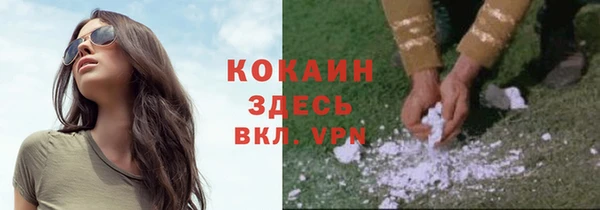 мескалин Новодвинск