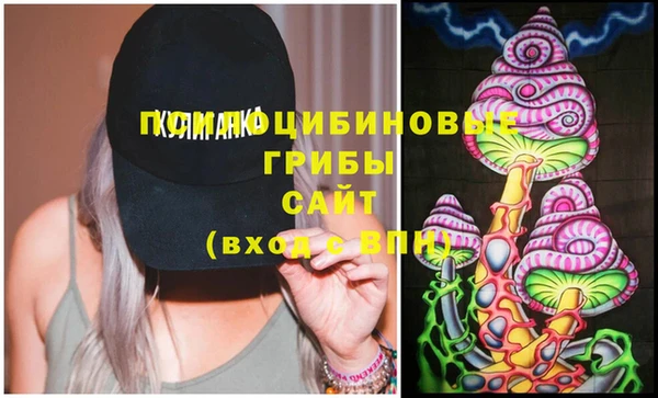 соль ск Абинск