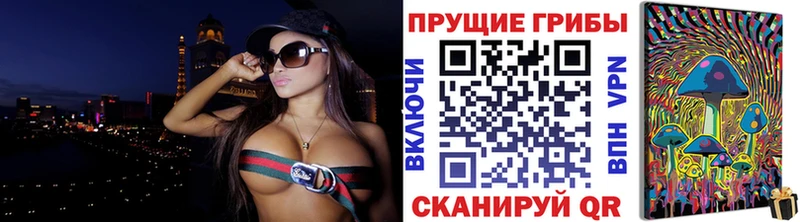 Галлюциногенные грибы Psilocybe  где купить наркотик  мориарти клад  Александровск 